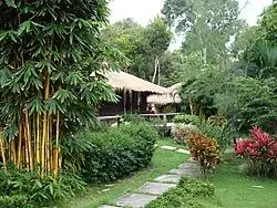 สวนที่มีภูมิประเทศของแถบร้อนชื้นอันสวยงาม บนหาดบางเบ้า